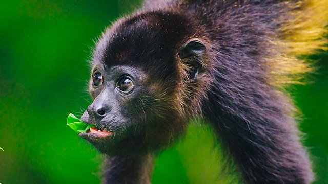 Wildlife-989.jpg