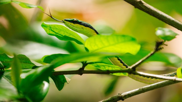 Wildlife-995.jpg