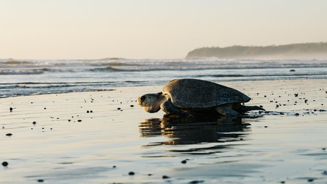 Wildlife-999.jpg
